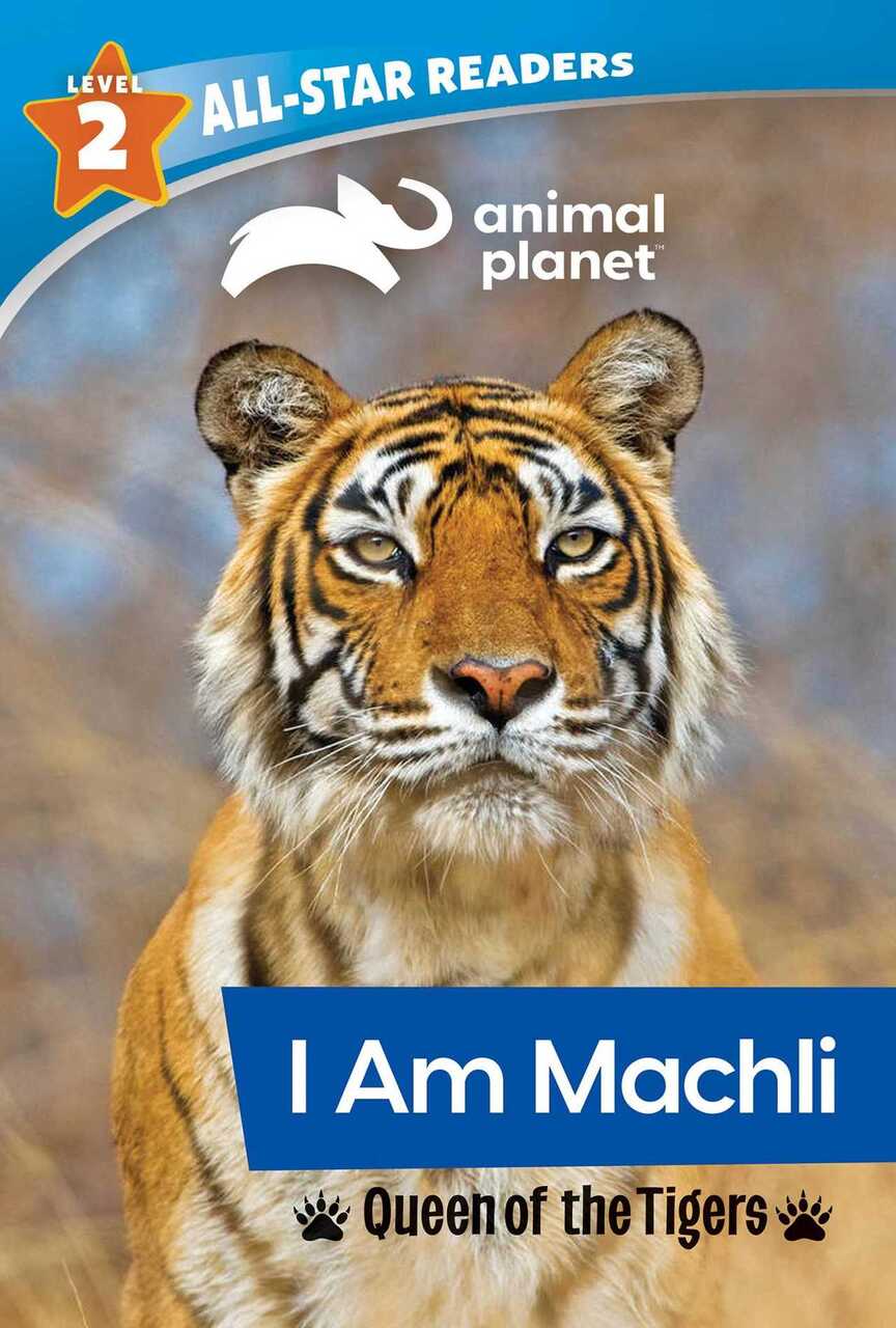 photo of an adult female Bengal tiger name Machli